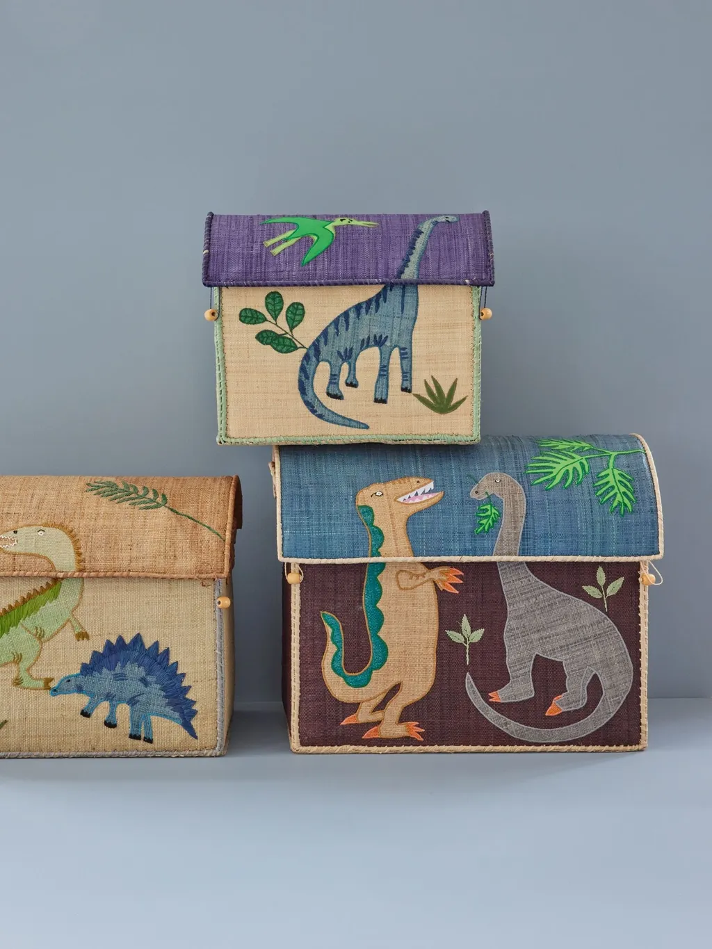 Raffia Storage Baskets with Dinosaur Theme - Set of 3 - To be delivered in May